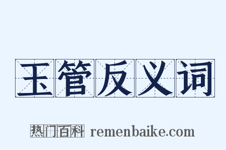 玉管反义词是什么意思的图片